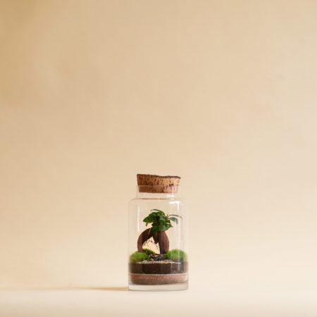 Niwa Design Small World 1 Cork Terrarium Niwa Design Small World 1 Cork Terrarium