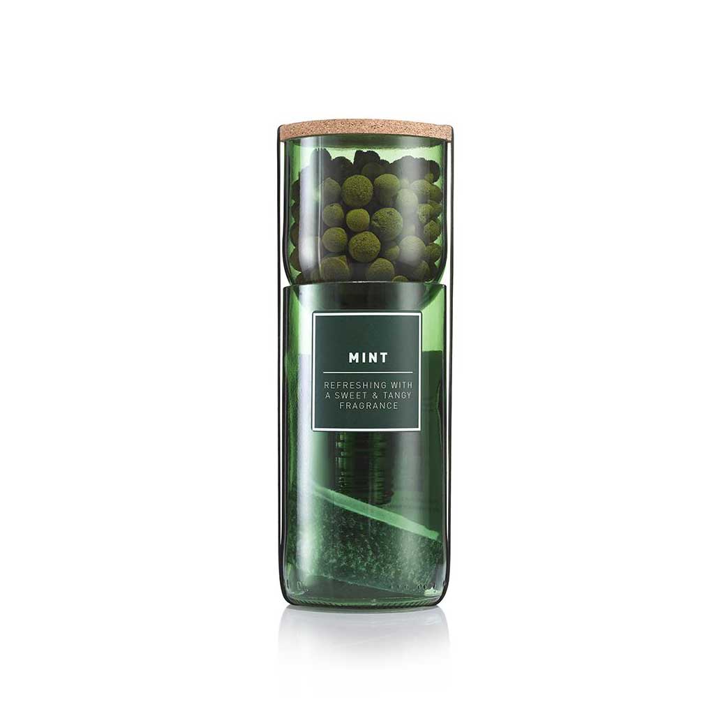 Hydro Herb Kit - Mint