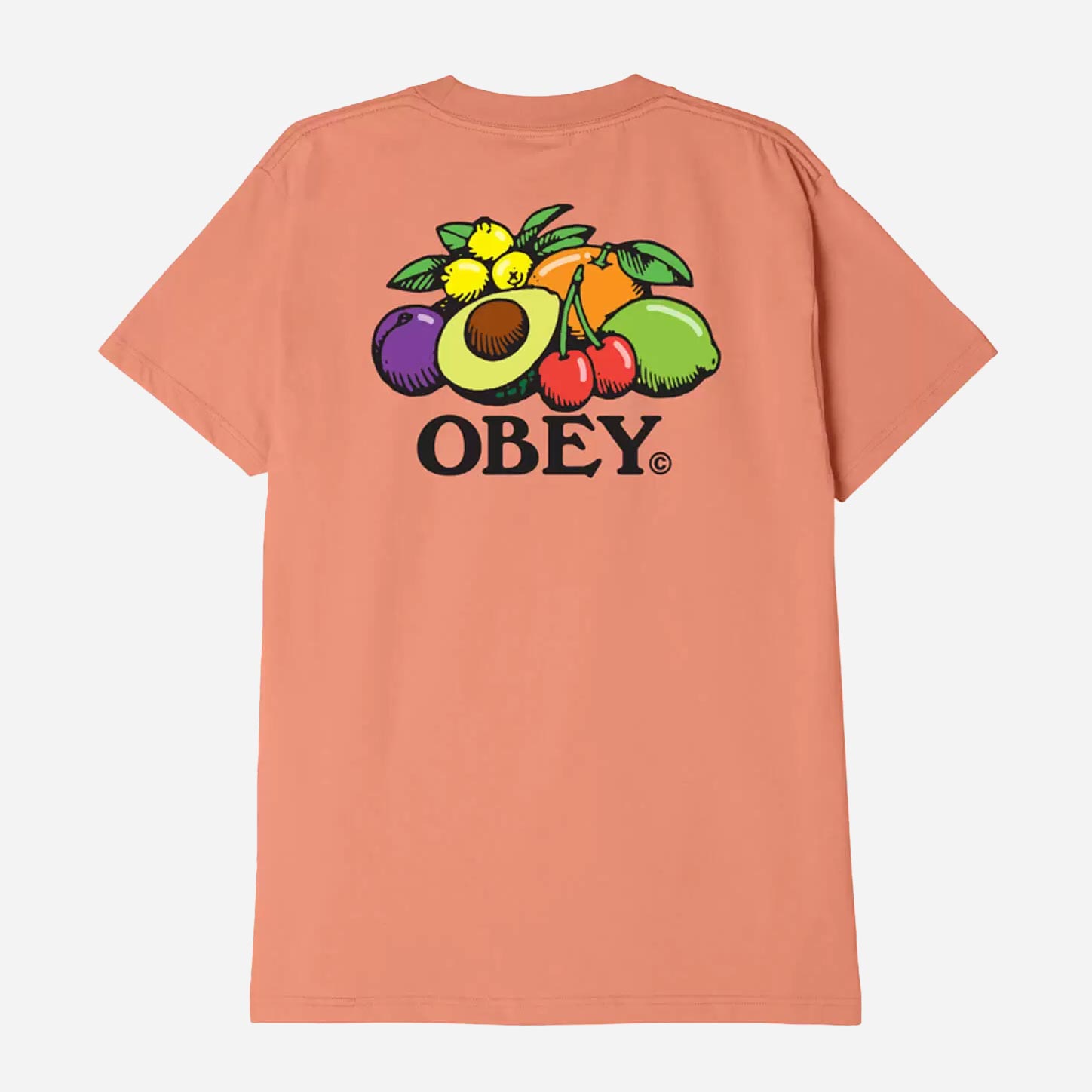 Obey Bowl Of Fruit Regular Fit Short Sleeve Tee - Citrus