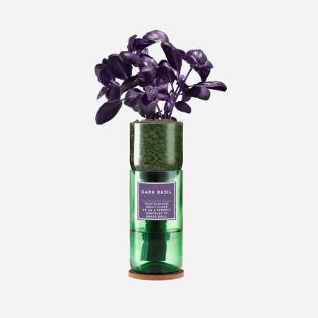 Hydro Herb - Dark Basil (Purple)