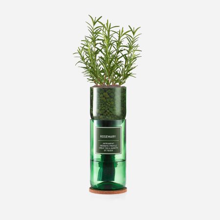 Hydro Herb Kit - Rosemary