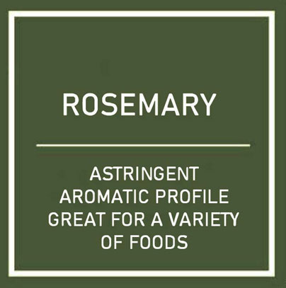 Hydro Herb Kit - Rosemary