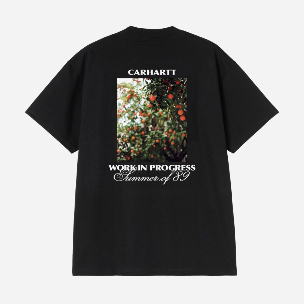 Carhartt WIP Warm Views Tee - Black