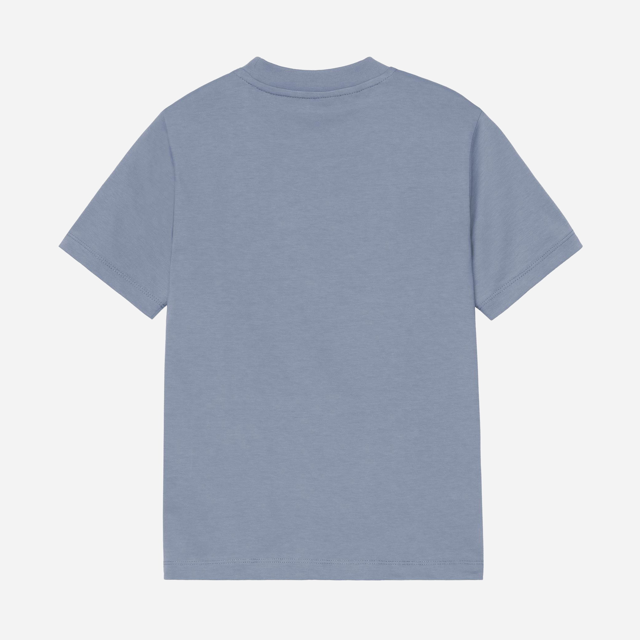 Carhartt WIP  Women's Luca Tee - Gentle Blue