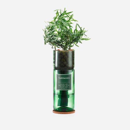 Hydro Herb Kit - Tarragon Hydro Herb Kit - Tarragon