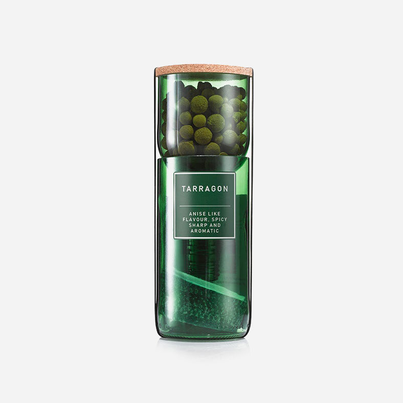 Hydro Herb Kit - Tarragon